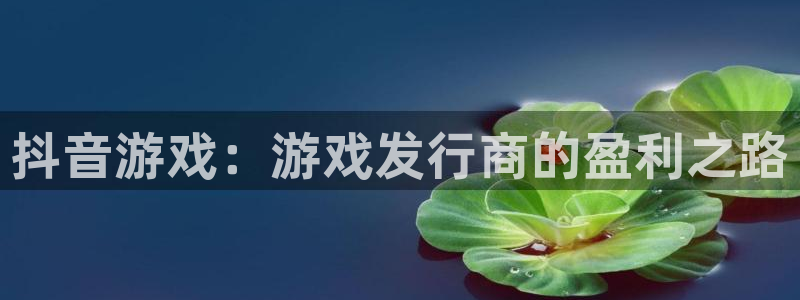 雷火电竞注册地址查询官网：抖音游戏：游戏发行商的盈利之路