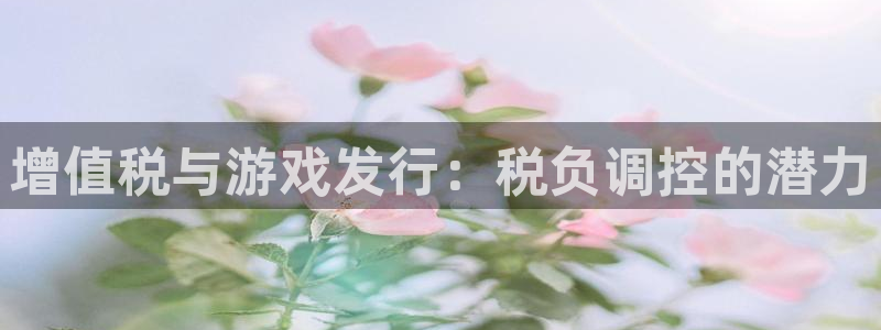 雷火电竞注册平台是什么意思：增值税与游戏发行：税负调控的潜力