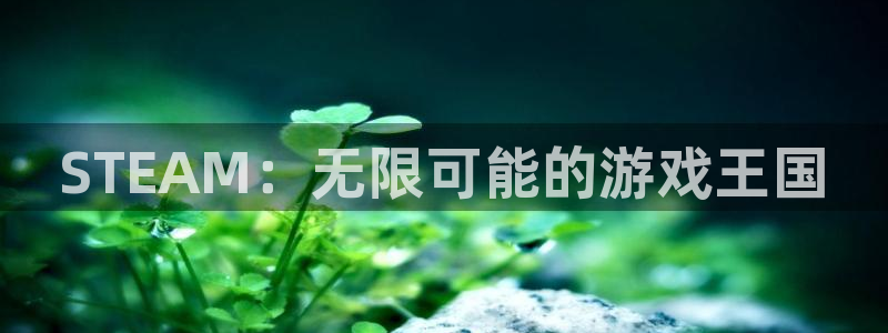 广东雷火竞技电子商务有限公司电话：STEAM：无限可能的游戏王国