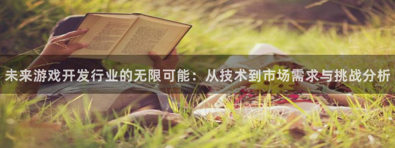 雷火竞技子代表什么意思