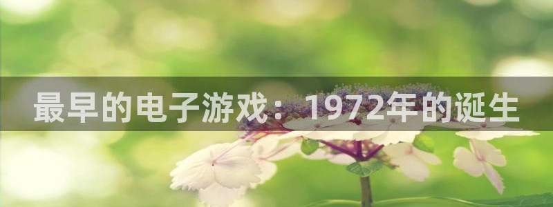 雷火竞技子酒业：最早的电子游戏：1972年的诞生