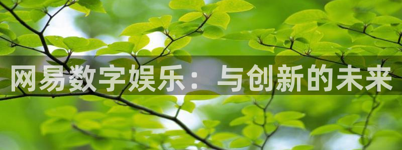 雷火竞技涂料(北京)有限公司：网易数字娱乐：与创新的未来