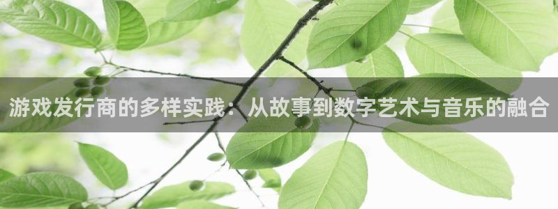 雷火竞技品牌：游戏发行商的多样实践：从故事到数字艺术与音乐的融合