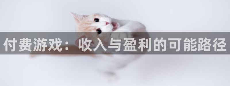 雷火竞技子教育科技(江门)有限公司：付费游戏：收入与盈利的可能路径