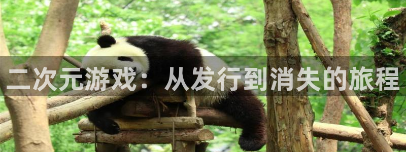 雷火竞技子酒业：二次元游戏：从发行到消失的旅程