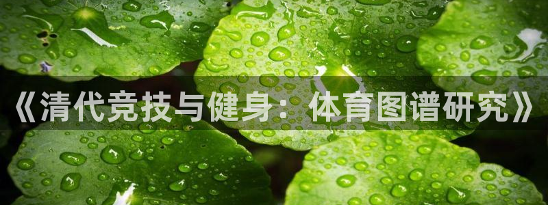 哈哈体育十年