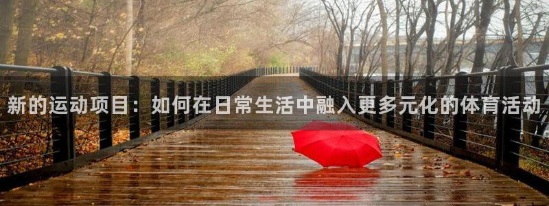哈哈体育十年
