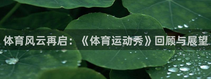 哈哈体育下载