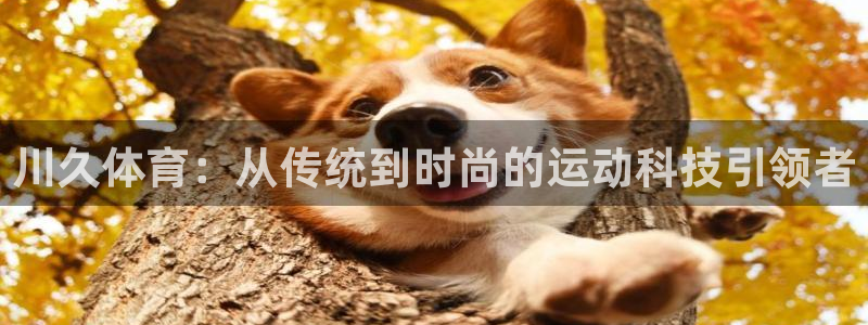哈哈体育十年