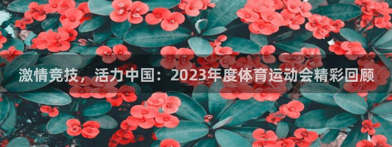 哈哈体育十年