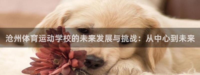 哈哈体育十年